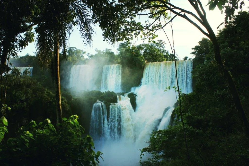 Victoria Falls viewed through rainforest