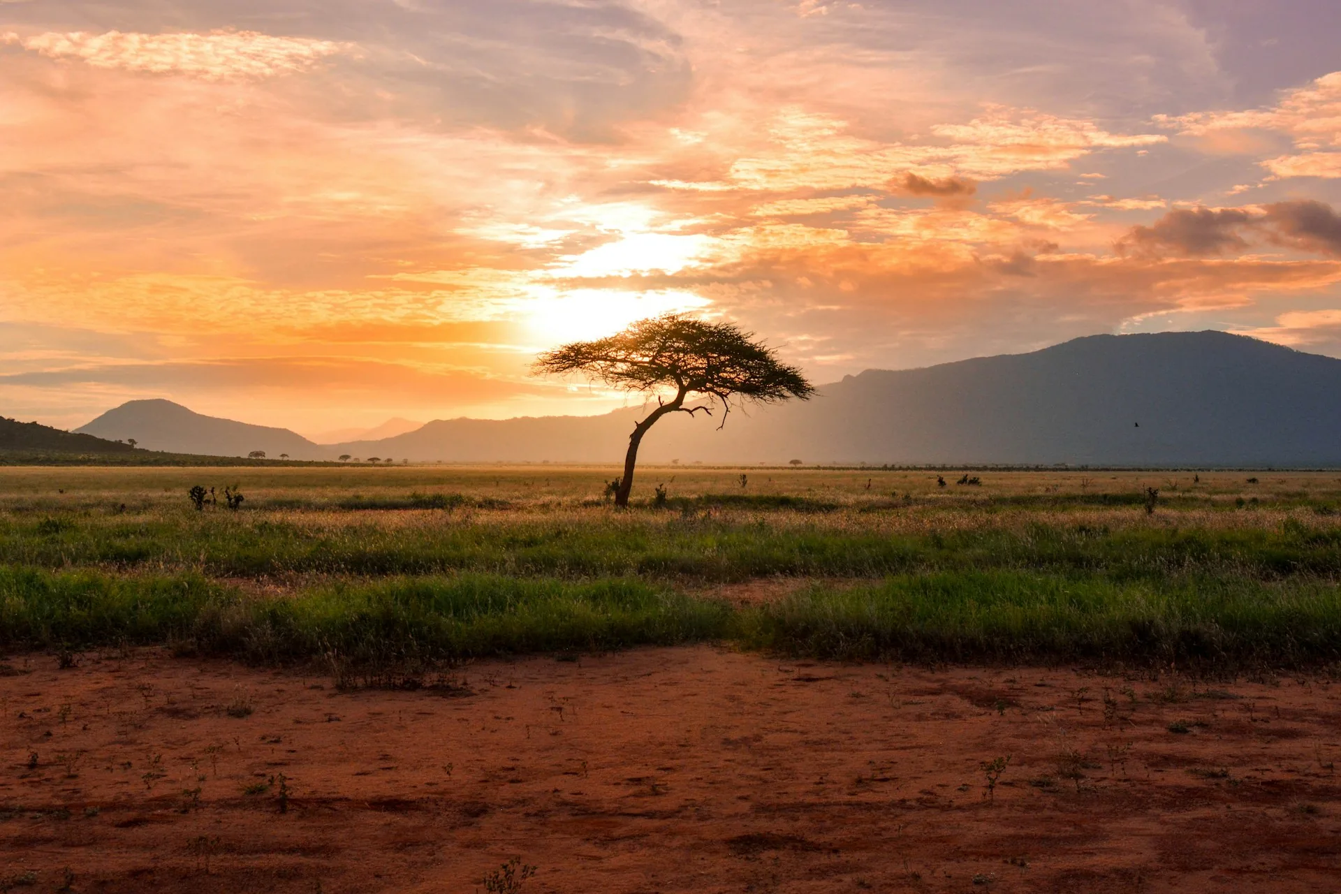 Namibia landscape at golden hour
